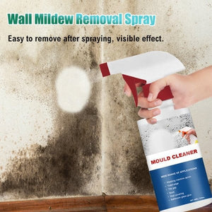 Mildew Cleaner Foam