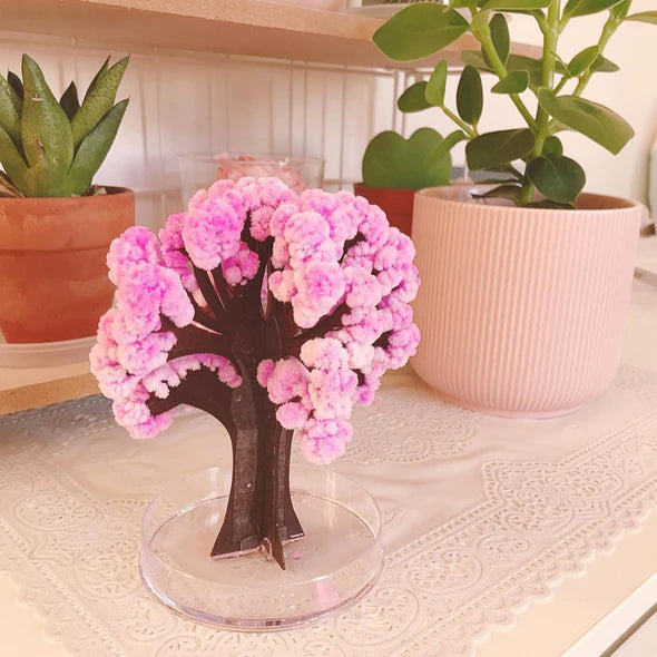 Magic Growing Paper Sakura Tree