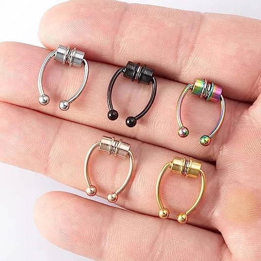 Magnetic Septum Ring