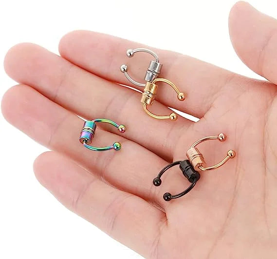 Magnetic Septum Ring