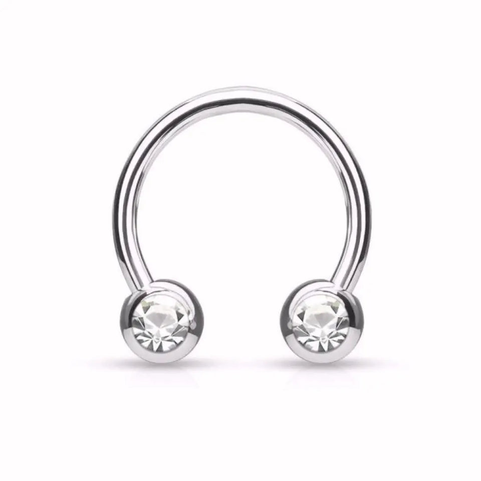 Magnetic Septum Ring